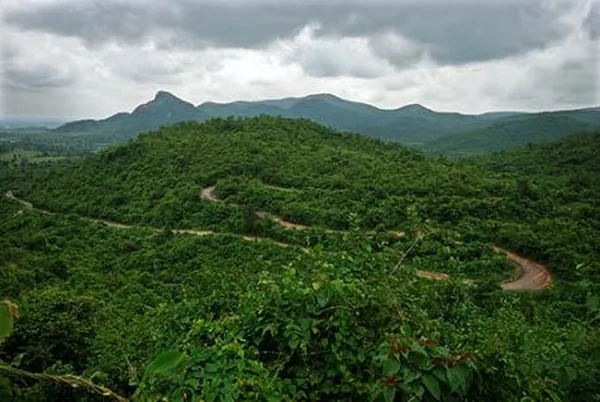 Dalma Hills